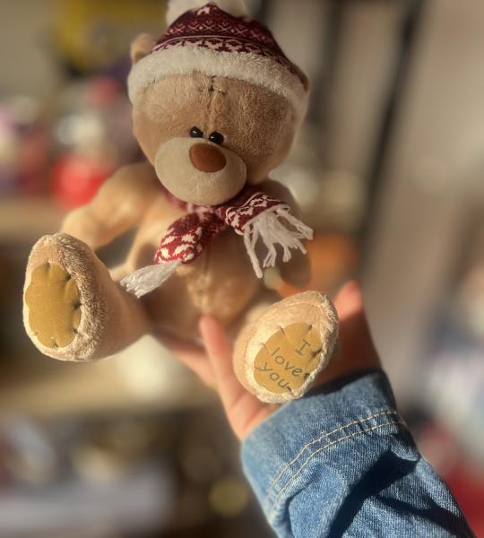 دب مع  بيح وبني